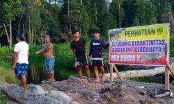 Lagi, Warga Diterkam Buaya di Tana Tidung Kalimantan Utara