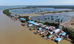 Pemkab Berau Kembangkan Sistem Informasi Udang Windu