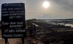 Setelah Mangrove Dibabat, Polisi Temukan Plang PT NBS – KOPKAR