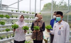 Bupati Resmikan Green House Sekolah Tinggi Ilmu Pertanian  Berau