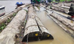 Kapal Kawal 222 Batang Kayu Log Diduga Ilegal di Sebulu Disergap Polisi