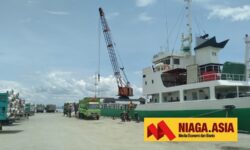 Andre Pratama: Pemkab Nunukan Seharusnya Atasi Masalah Angkutan Rumput Laut
