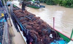 Desa Binalawan Sebatik Alokasikan 20 % DD untuk Usaha Rumput Laut dan Padi