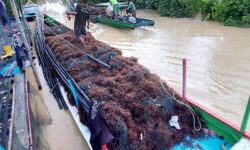 Potensi Rumput Laut Belum Dimanfaatkan Maksimal