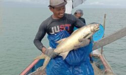 Zona Tangkap Nelayan Sebatik Semakin Menyusut, Andre: Ini Masalah Perut Bos!