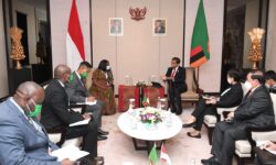 Presiden Jokowi Bahas Penguatan Kerja Sama Ekonomi dengan Zambia
