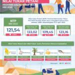 Bulan Mei NTP Tanaman Perkebunan Rakyat -18,54 Persen