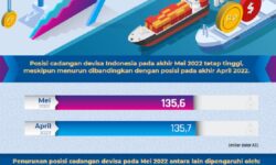 Devisa Migas Stabilkan Cadangan Devisa Akhir Mei 2022