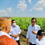 Jokowi Ajak KADIN Manfaatkan Peluang di Sektor Pangan