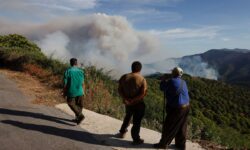Kebakaran Hutan di Spanyol, 2.000 Orang Dievakuasi