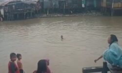 Yogi Dilaporkan Tenggelam di Sungai Karang Mumus