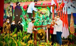 Presiden Pastikan IKN Pindah Sesuai Rencana