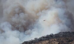 Pemadam Berjibaku Padamkan Kebakaran Hutan di Spanyol di Tengah Gelombang Panas