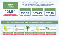 NTP Hortikultura, Perkebunan dan Perikanan Naik