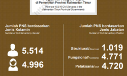 Pemerintahan Provinsi Kalimantan Timur