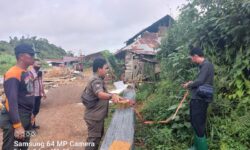 Camat Tanjung Redeb Periksa Tanah yang Suratnya Berlapis