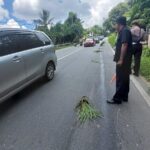 Ceceran Solar di Jalan Samarinda Bikin 4 Pemotor Jatuh, Tidak Ada Efek Jera
