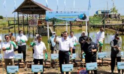 Menko Marves Sarankan Gubernur Bentuk Perda Penanaman Mangrove