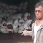 Kamaruddin: Perdagangan Rumput Laut Basah Merusak Citra Nunukan