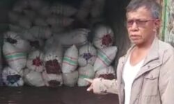 Kamaruddin: Perdagangan Rumput Laut Basah Merusak Citra Nunukan