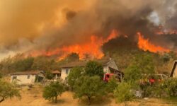 Kebakaran Hebat di Hutan Prancis Berhasil Dikendalikan