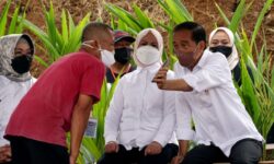 Respons Jokowi Soal Usulan TNI/Polri Tugas di Kementerian: Belum Mendesak
