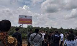 Gakkum KLHK Segel 12 Lokasi Hutan Bekas Tambang Bauksit di Bintan