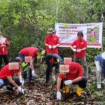 Lestarikan Taman Nasional Kutai, Telkomsel Tanam 20 Ribu Bibit Mangrove di Bontang