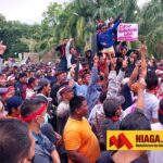 Demo ke DPRD Nunukan, Petani Rumput Laut: Gubernur Tidak Pro Rakyat