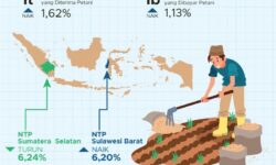 Bulan September 2022 Harga Gabah dan Beras Premium Sama-sama Naik