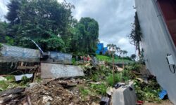 Pekerja Bangunan di Samarinda Tewas Tertimpa Pohon Tumbang
