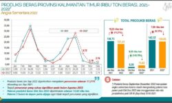 Produksi Beras Kaltim 2022 Diperkirakan Turun 5,12 Persen