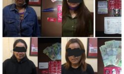 Tawarkan Layanan Seks di Michat, 4 PSK Cantik Ditangkap di Nunukan