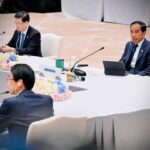 Dua Sektor Pemulihan Ekonomi Global Ini Disampaikan Jokowi Saat Dialong Pemimpin APEC