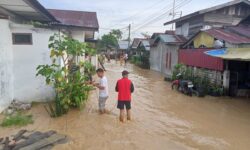 6.782 Warga Terdampak Banjir di Kota Langsa