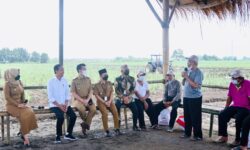 Pemerintah Siapkan 700 ribu Hektar Lahan Buat Dorong Kemandirian Gula Nasional