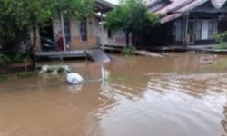 8.544 Jiwa Terdampak Banjir di Kota Palangkaraya