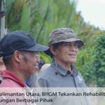 BRGM : Rehabilitasi Mangrove Perlu Dukungan Semua Pihak