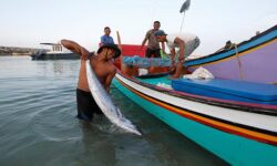 Nilai Produksi Perikanan Bontang Turun 3,79 Persen