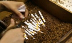 Di Selandia Baru, Penjualan Tembakau Dilarang Seumur Hidup