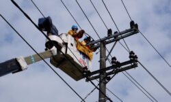 Pemerintah Beri Lampu Hijau Pembentukan Perusahaan dan Transisi Energi di PLN