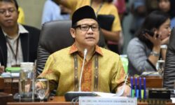 Muhaimin Minta DJP Usut Tuntas 9 Juta Hektar Sawit Tak Bayar Pajak