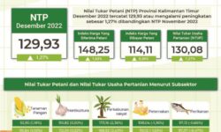 NTP Tanaman Pangan, Hortikultura dan Perkebunan Meningkat
