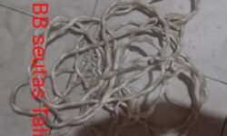 Polisi Berhasil Menangkap Pembunuh Taksi Online