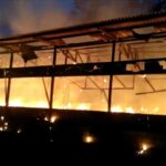 Cerita Dibalik Kandang Terbakar di Samarinda, 7 Ribu Ekor Ayam Mati Kerugian Rp 1,5 M