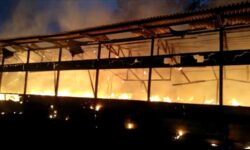 Cerita Dibalik Kandang Terbakar di Samarinda, 7 Ribu Ekor Ayam Mati Kerugian Rp 1,5 M