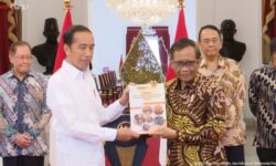 Jokowi Tegaskan Upaya Pemerintah Tidak Lagi Terjadi Pelanggaran HAM Berat