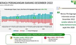Surplus Neraca Perdagangan Positif bagi Ketahanan Eksternal Perekonomian Indonesia