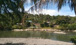 Terdampak Kemarau, Warga Dua Kampung di Mahulu Kesulitan Bahan Pokok