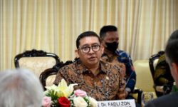 DPR Bahas Pembatasan Kelapa Sawit dengan Delegasi Parlemen Uni Eropa